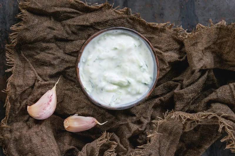 Tzatziki af græsk yoghurt 10% - Ketoliv